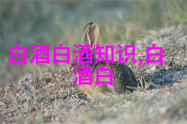 汾酒与泸州老窖的入门款对比黄盖玻汾与特曲头曲哪款更适合日常饮用