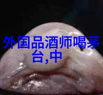飞天茅台黑标酒知识
