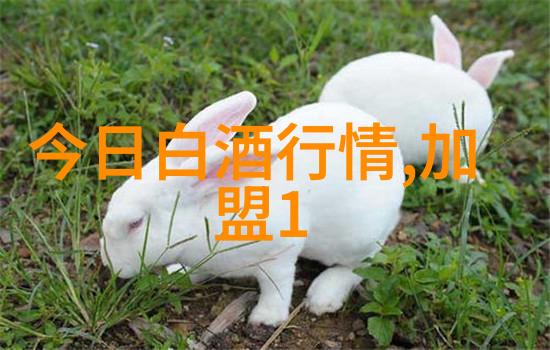 飞天茅台价格2019酒知识